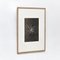 Photographies Karl Blossfeldt, Fleurs Noires et Blanches, Set de 6 12