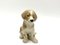 Porcelain Figurine of a Bernardine Puppy from Bing & Grondahl, Denmark 6
