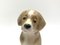 Porcelain Figurine of a Bernardine Puppy from Bing & Grondahl, Denmark 3