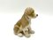 Porcelain Figurine of a Bernardine Puppy from Bing & Grondahl, Denmark 2