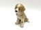 Porcelain Figurine of a Bernardine Puppy from Bing & Grondahl, Denmark 1