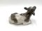 Porcelain Figurine of a Calf from Royal Copenhagen, Denmark, 1967 7