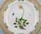 Flora Danica Openwork Plate in Hand-Painted Porcelain from Royal Copenhagen 2