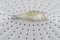 Large Fauna Danica/ Flora Danica Porcelain Fish Strainer from Royal Copenhagen, Image 4