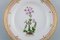Flora Danica Salad Plate in Hand-Painted Porcelain from Royal Copenhagen, Image 2
