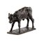 Bronze Bull by Fritz Best-Kronberg, Image 3