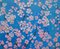 Dany Soyer, Ceriser en fleurs, 2022, Acrylique sur Toile 2