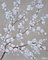Dany Soyer, Pommier en fleurs, 2022, acrílico sobre lienzo, Imagen 1