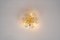 Petite German Glass Flower Wall Light by Ernst Palme, 1970s 9