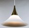 Glass & Brass Tulip Trumpet Mod 4498 Hanging Pendulum Light from Limburg, 1970s 10