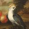 Paisaje con frutas y pájaros, óleo sobre lienzo, enmarcado, Imagen 3