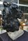 Estatua Caballo de cemento pintado de negro Italy First 900, Imagen 4