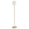 Brass 06 Floor Lamp 150 by Magic Circus Editions 1