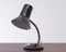 Small Dutch Desk Lamp by Hala Zeist, 1950s 1