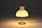 Mid-Century Italian Lamp by Ignazio Gardella for Azucena, 1950s 2