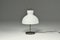 Mid-Century Italian Lamp by Ignazio Gardella for Azucena, 1950s 3