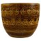 Blumentopf aus glasierter Keramik in Senfgelb von Aldo Londi für Bitossi 1