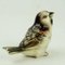 Austrian Art Deco Glazed Ceramic Sparrow by Eduard Klablena 3