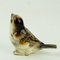 Austrian Art Deco Glazed Ceramic Sparrow by Eduard Klablena 4