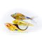 Polish Glass Goldfish, Image 5