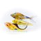 Polnischer Glas Goldfisch 5