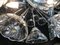 Sputnik Crystal Ceiling Lamp in Chrome 23