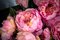 Italian Round Pink Peony Composition from VGnewtrend 3