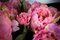 Italian Round Pink Peony Composition from VGnewtrend 4