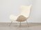 Madame Lounge Chair by Fritz Neth for Correcta Germany, 1950s 6