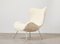 Madame Lounge Chair by Fritz Neth for Correcta Germany, 1950s, Image 6