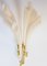 Vintage Firework Wall Lamp form Barovier & Toso Fuochi, 1970s 18