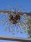 Vintage Murano Flower Drops Chandelier 6