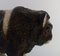 Large Musk Ox Calf Sculpture in Glazed Ceramics by Jeanne Grut for Aluminia, Image 8