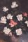 Rosendo Gonzalez Carbonell, Natura morta con rose, XX secolo, Olio su tela, Incorniciato, Immagine 3