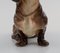 Figura de perro salchicha europea de porcelana, años 30, Imagen 5