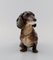Figura de perro salchicha europea de porcelana, años 30, Imagen 2