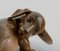 Porzellanfigur eines Dachshund Welpen von Royal Copenhagen 5