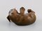 Porcelain Figurine of Lying Dachshund from Royal Copenhagen, 1964 4