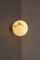 Planette 12 Alabaster Wall Light by Contain 4