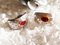 Orecchini bicolore 18kt con rubino, set di 2, Immagine 4