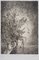 Jean-Pierre Velly, Vaso di fiori, Acquaforte originale, Immagine 1
