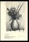 Bernard Buffet, The Thistles, 1952, Lithographie Originale 4