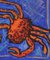 Didier Chenu, Joli crabe rouge, Acrylic on Canvas 2