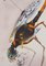 Salvador Dali, Biblia Sacra, The Grasshoppers, Litografia, Immagine 1