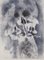 Salvador Dali, Biblia Sacra, Vanity, Lithograph, Image 1