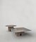 Temple V1 Low Table by Edizione Limitata 5