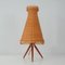 Mid-Century Rattan and Birch Table Lamp Attributed to JT Kalmar, 1950s 2