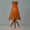 Mid-Century Rattan and Birch Table Lamp Attributed to JT Kalmar, 1950s, Image 7