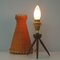 Mid-Century Rattan and Birch Table Lamp Attributed to JT Kalmar, 1950s 14