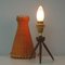 Mid-Century Rattan and Birch Table Lamp Attributed to JT Kalmar, 1950s, Image 14